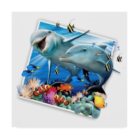 Howard Robinson 'Dolphin Picture' Canvas Art,24x24
